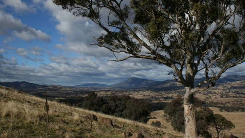 Urambi Hills - Accommodation Directory 2