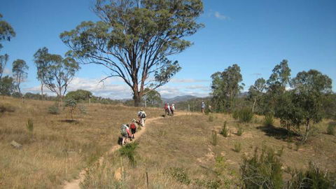 Kambah Pool To Pine Island - Accommodation Directory 3