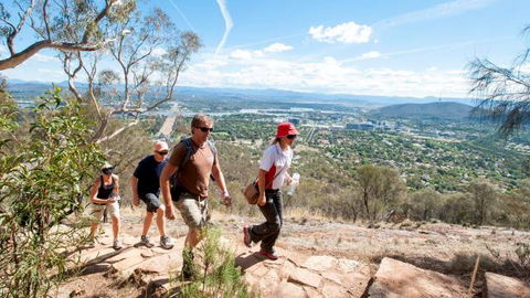 Mount Ainslie Lookout - Accommodation Directory 2