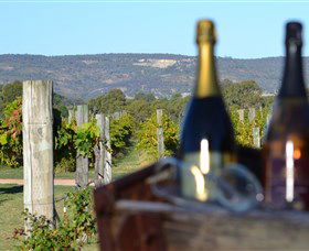 Ugly Duckling Wines - Accommodation Directory 1
