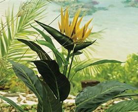 Lapstone NSW Accommodation Directory