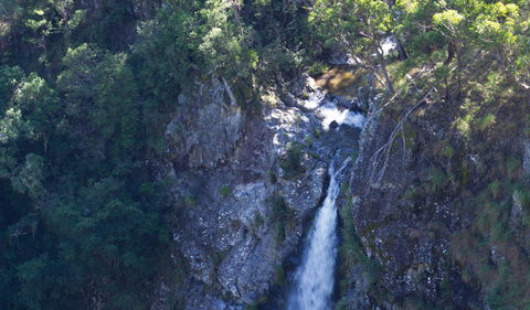 Lyrebird Falls Walking Track - Accommodation Directory 0