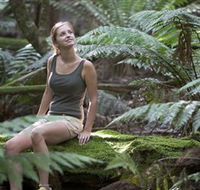 Barrington Tops National Park - Honeysuckle Forest Track - Accommodation Directory