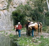 Yarramba Horse Riding - Accommodation Directory