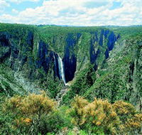Wollomombi Falls - Accommodation Directory