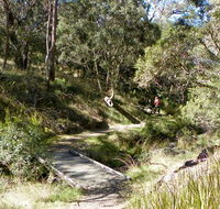 Wollomombi walking track - Accommodation Directory