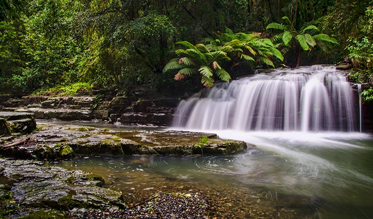 Flat Tops NSW Accommodation Directory