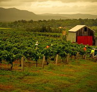 Around Hermitage Wine and Food Trail Hunter Valley - Accommodation Directory