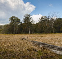 Mummel Gulf National Park - Accommodation Directory