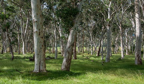 Coast To The Highlands Scenic Drive â€“ Kangaroo Valley - Accommodation Directory 1