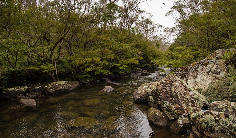 Gloucester Tops NSW Accommodation Directory
