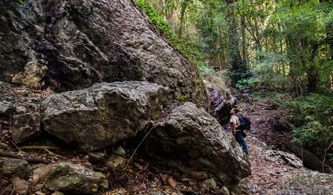 Woko National Park - Accommodation Directory 2