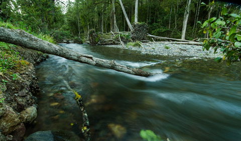 Woko National Park - Accommodation Directory 3