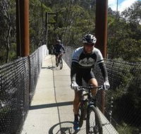 McGees Cycling Store - Accommodation Directory