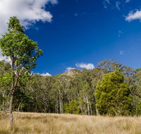 Brush Turkey track - Accommodation Directory