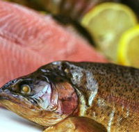 Lovedale Smokehouse Gourmet Pantry Cafe and Masterclasses - Accommodation Directory