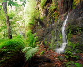Fairy Bower Falls - Accommodation Directory 0
