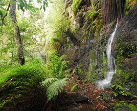 Fairy Bower Falls - Accommodation Directory 2