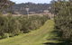 Bunna Bunoo Olive Grove - thumb 1