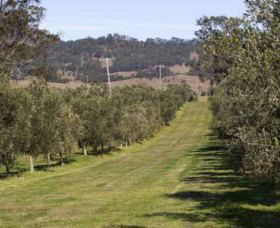 Bunna Bunoo Olive Grove - Accommodation Directory 1