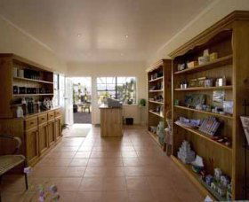 Bunna Bunoo Olive Grove - Accommodation Directory 2