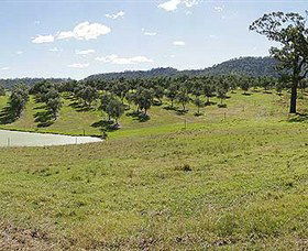 Bunna Bunoo Olive Grove - Accommodation Directory 5