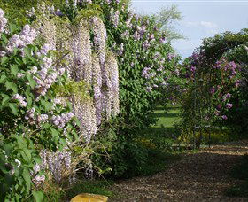 Back O The Moon - Accommodation Directory 3