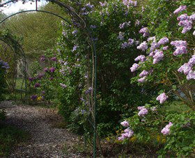 Back O The Moon - Accommodation Directory 4