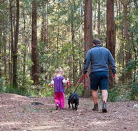 Olney State Forest - Watagan Mountains - Accommodation Directory