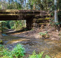 Myrtle Scrub scenic drive - Accommodation Directory