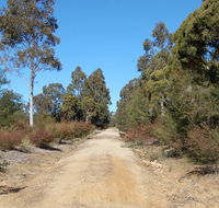 Werakata National Park - Accommodation Directory