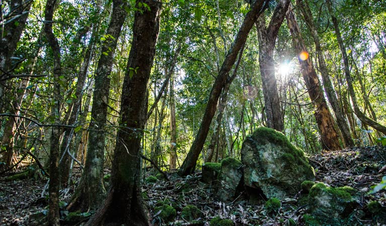 Hunter Valley NSW Accommodation Directory