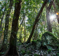 Copeland Tops State Conservation Area - Accommodation Directory