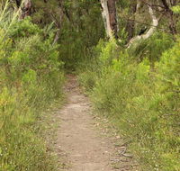 Three Views walking track - Accommodation Directory