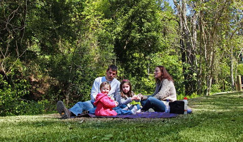 Hidden Treasure Picnic Area - Accommodation Directory 0