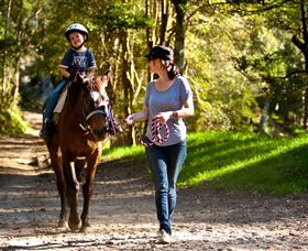 Glenworth Valley Horse Riding - Accommodation Directory 3