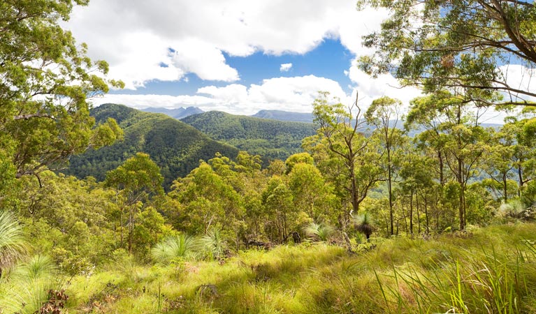 Unumgar NSW Accommodation Directory