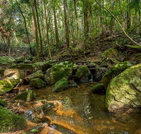 Palm Grove Nature Reserve - Accommodation Directory
