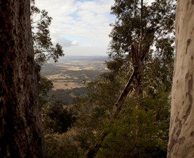 Heaton State Forest - Watagan Mountains - Accommodation Directory 1