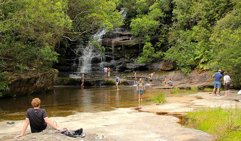 Somersby Falls Picnic Area - Accommodation Directory 0