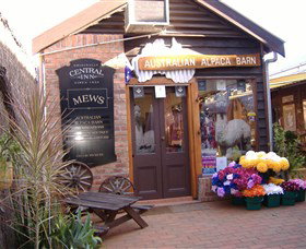 Australian Alpaca Barn - Morpeth - Accommodation Directory 0