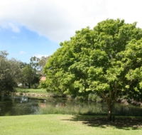 Hervey Bay Botanic Gardens - Accommodation Directory