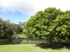 Hervey Bay Botanic Gardens - Accommodation Directory 0
