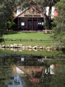 Hervey Bay Botanic Gardens - Accommodation Directory 1