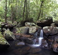 Kangaroo River - Accommodation Directory