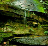 Strickland State Forest - Accommodation Directory