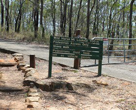 Wild Horse Mountain Lookout - Accommodation Directory 0