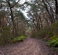 Budawang National Park - Accommodation Directory