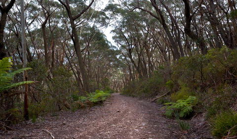 Budawang National Park - Accommodation Directory 0