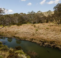 Werrikimbe National Park - Accommodation Directory